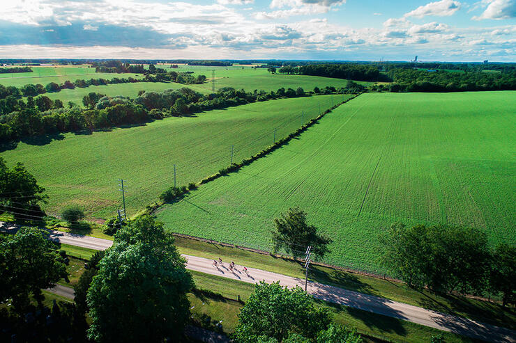 a group of cyclists on a guided tour pass through green farmland