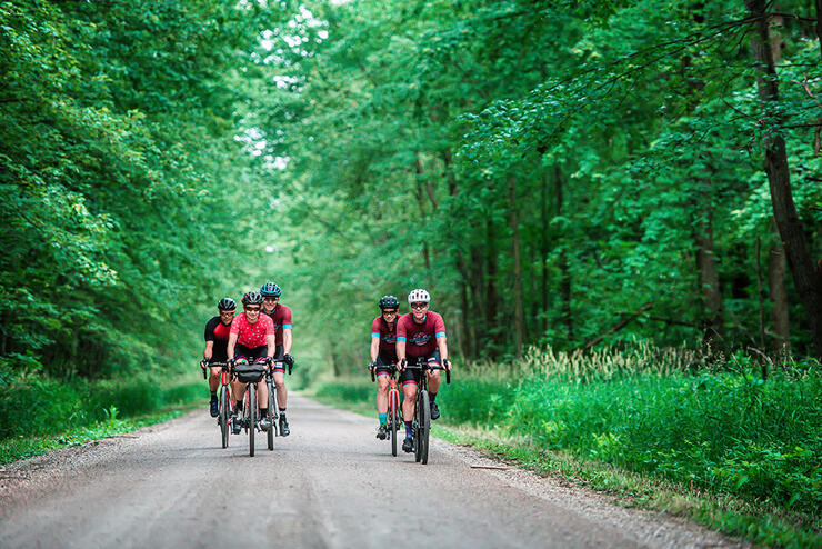 people participate in a guided bicycle tour through a leafy forest path
