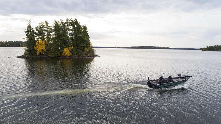 Tips on using swimbaits to catch pike and musky