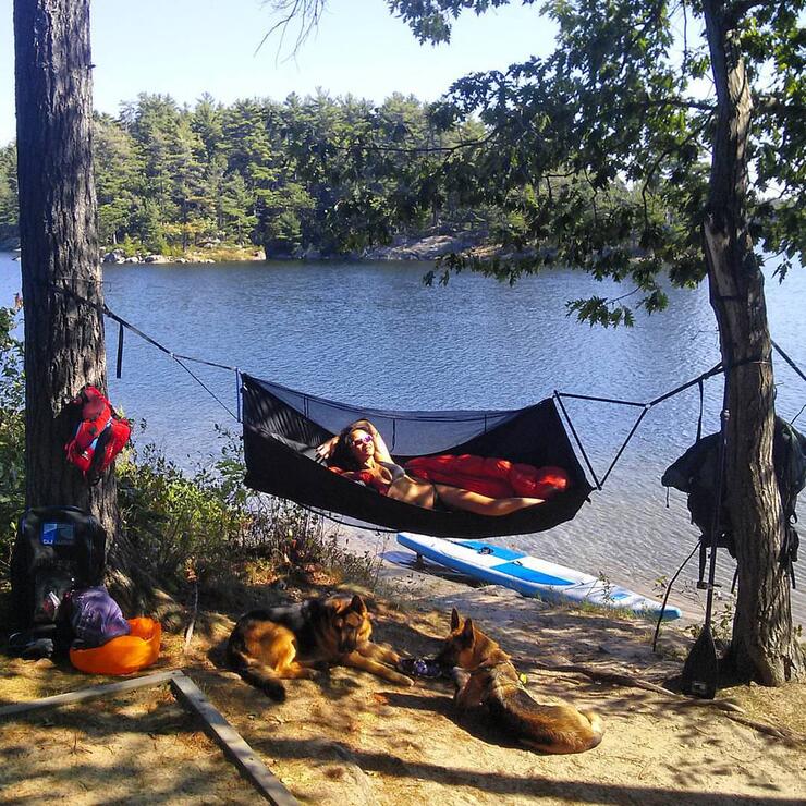 woman relaxes in hammock in front of dogs and camping gear while SUP camping