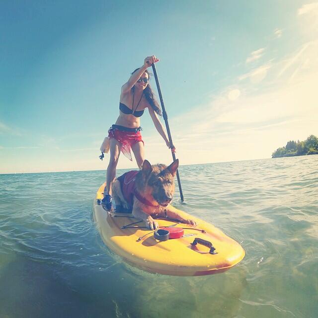 woman takes photo with dog on standup paddleboard