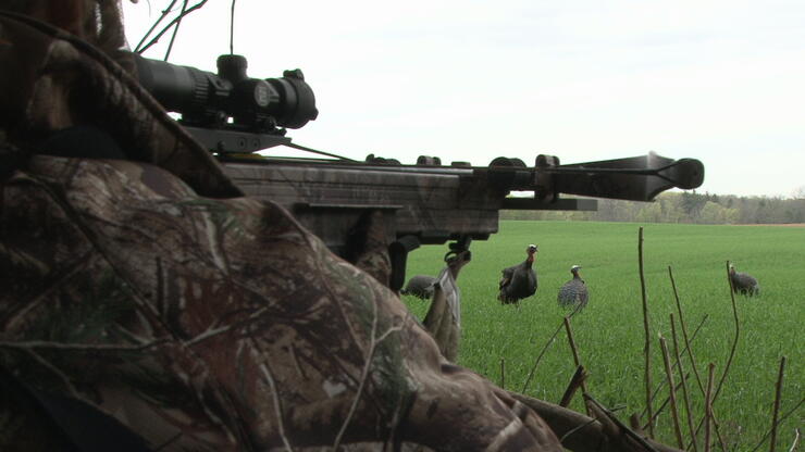 bow hunting turkey