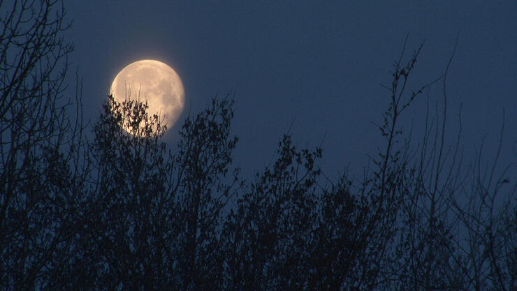 Moon in the Morning