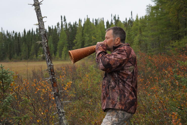 The Magic Of The Moose Hunt | Northern Ontario Travel