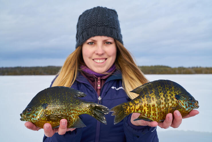 Late Season Ice Panfish in Ontario with Ashley Rae