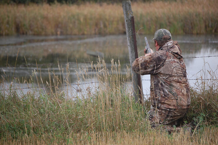 hunting waterfowl in ontario