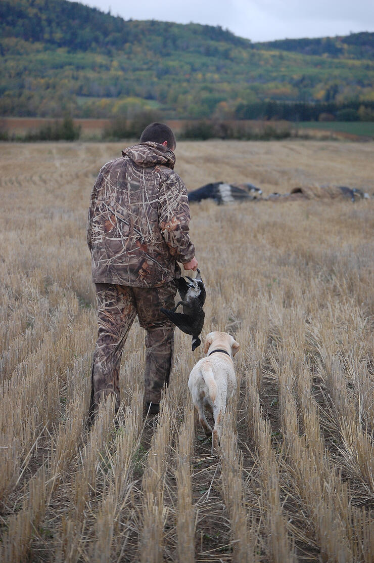 hunter with retriever