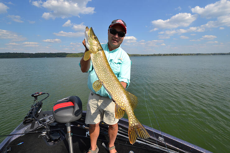 Check out some of this summer's best fish pictures from anglers in  northwestern Ontario