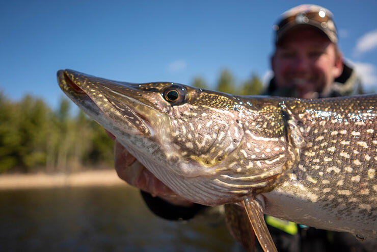 BenchMaster Pocket Guide - Fly Fishing - Fishing