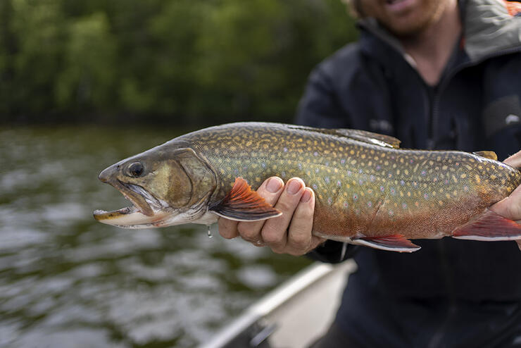 Fly Fishing Atlantic Salmon, Trophy Brook Trout Nunavik, Canada