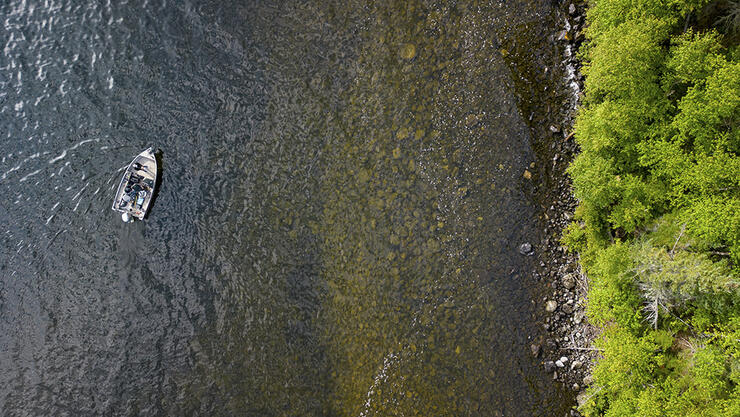 brook-trout-fishing-3