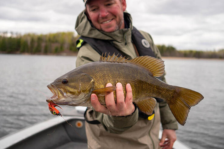 Top Ranked Flies For Catching Brown Trout