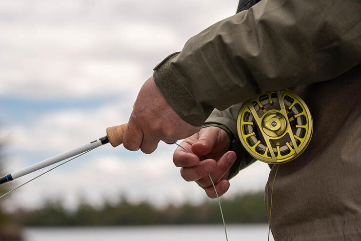 Top Ranked Flies For Catching Brown Trout