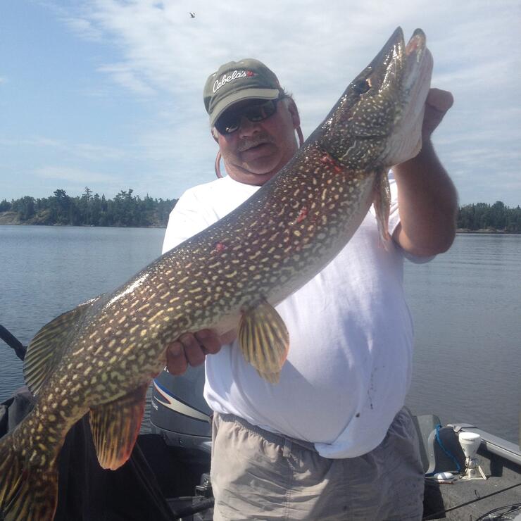 northern-pike-photo