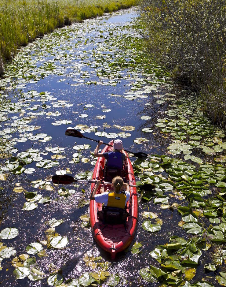 Two people paddling a kayak 