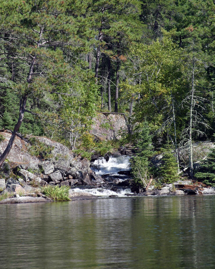 Dryberry Lake Fishing and Outdoor Adventures | Northern Ontario Travel