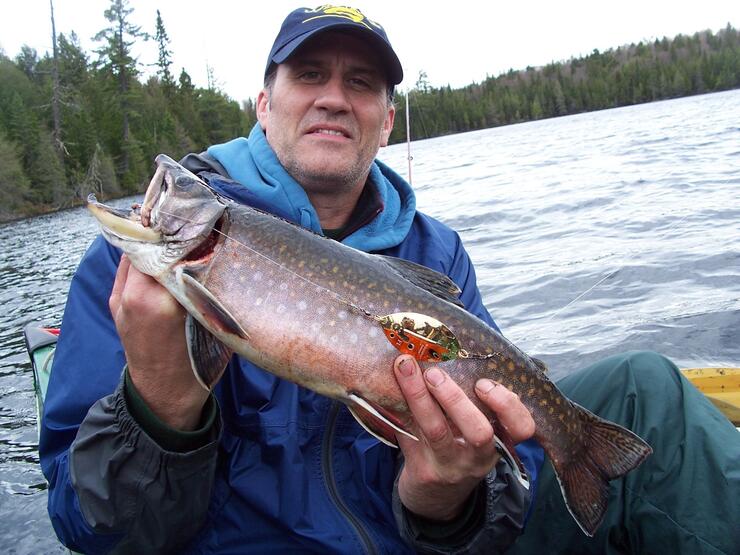  Brook Trout Lures