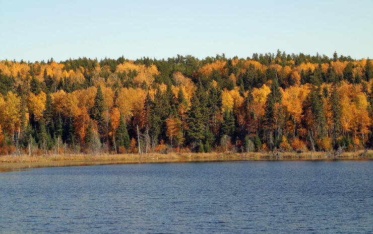 How to Catch Fall Walleye