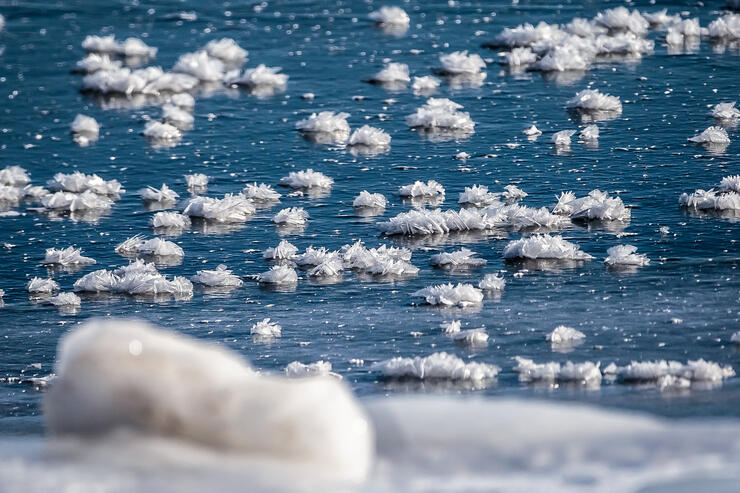 frost-flowers2