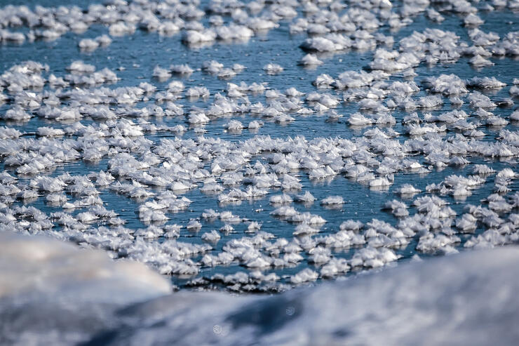 frost-flowers