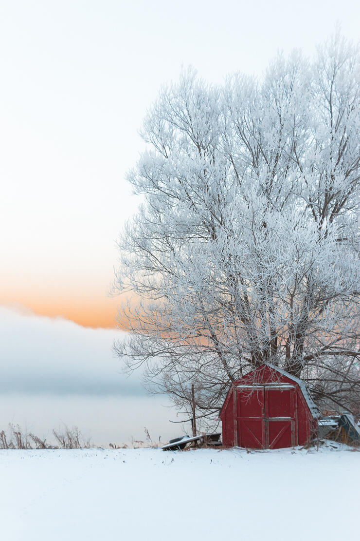 frosty-morning