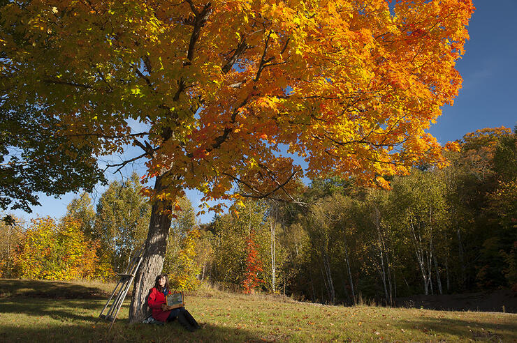 Reddish Trees