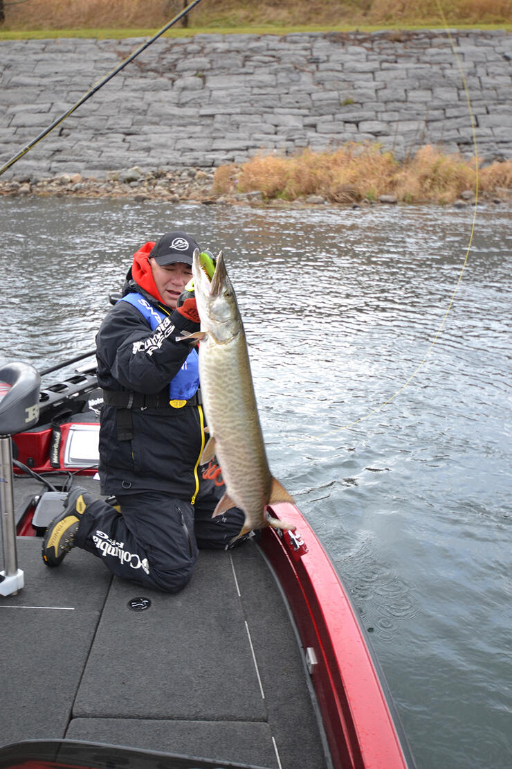 7 Techniques to Land Your Catch