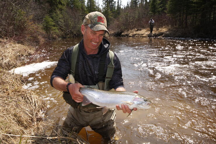 Northwestern Ontario Steelhead Fever