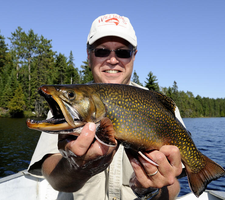 brook-trout1