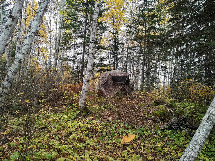 ground-blinds