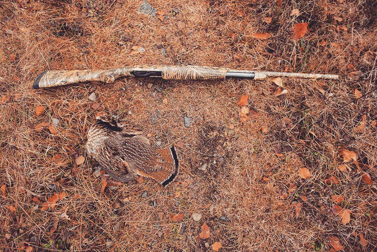 grouse-hunting-northern-ontario-4