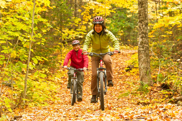 Woman and man riding mountain bikes on a wide trail surrounded by bright yellow autumn colours.