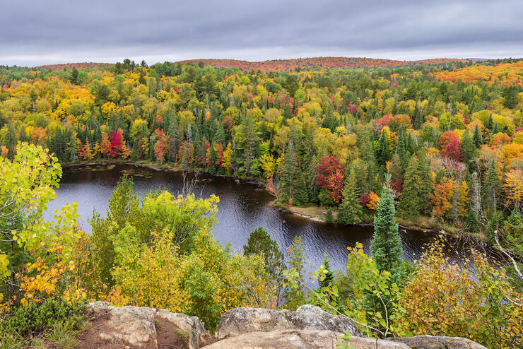 Overlooking river with brightly coloured leaves on trees in background