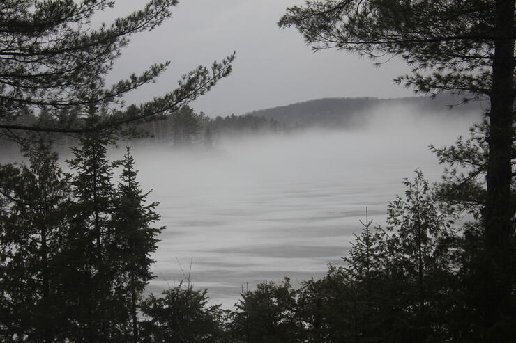 Spring Brook Trout - Colder Than Expected Conditions