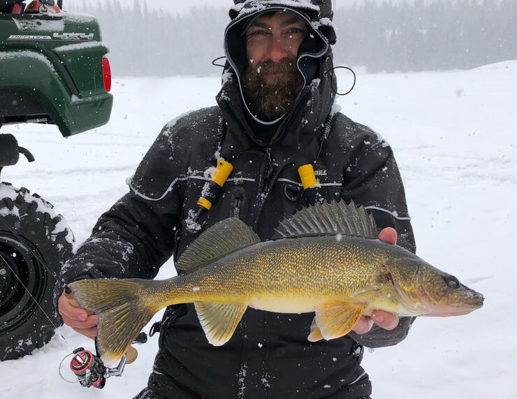 Finding ciscoes can help you catch more giant walleye, lake trout