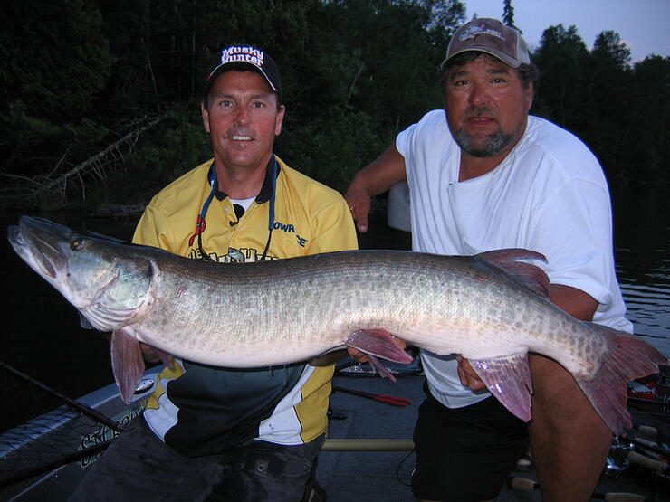 Fishing for the Mighty Fall Musky in the Legendary Lac Seul Lake