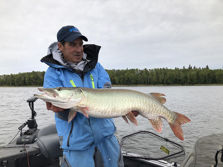 The Biggest Musky Are Biting Right Now AnglingBuzz