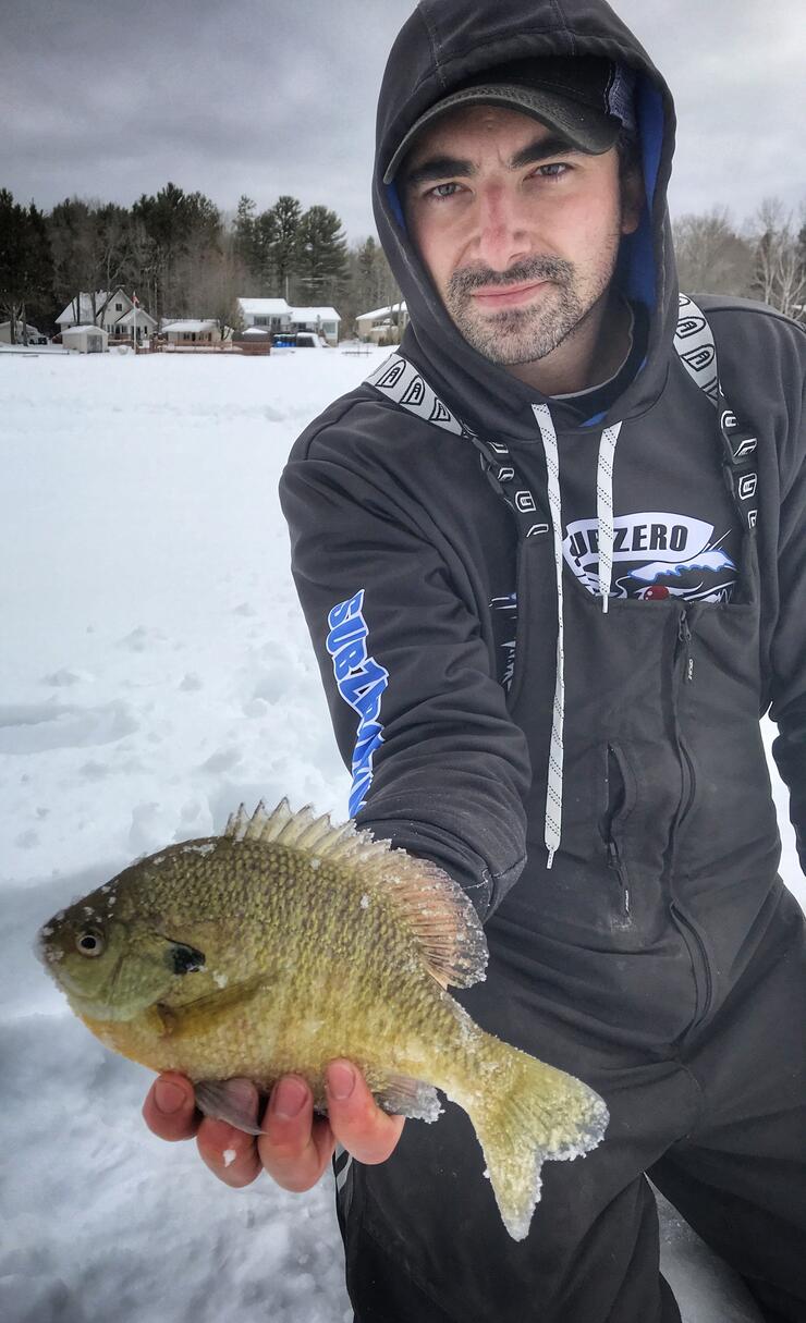 Ice Fishing for Trophy Algoma Bluegills