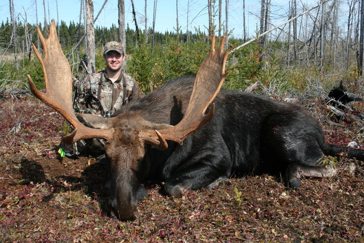 hunter with harvested moose