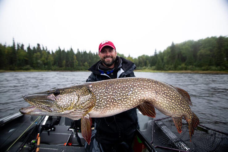 Northern Pike