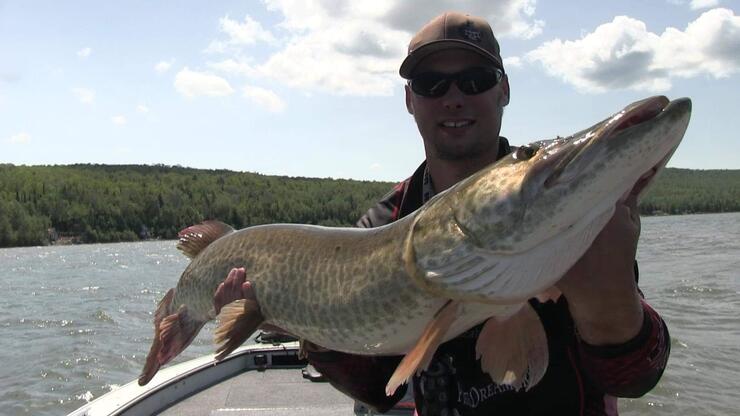 muskie-fishing