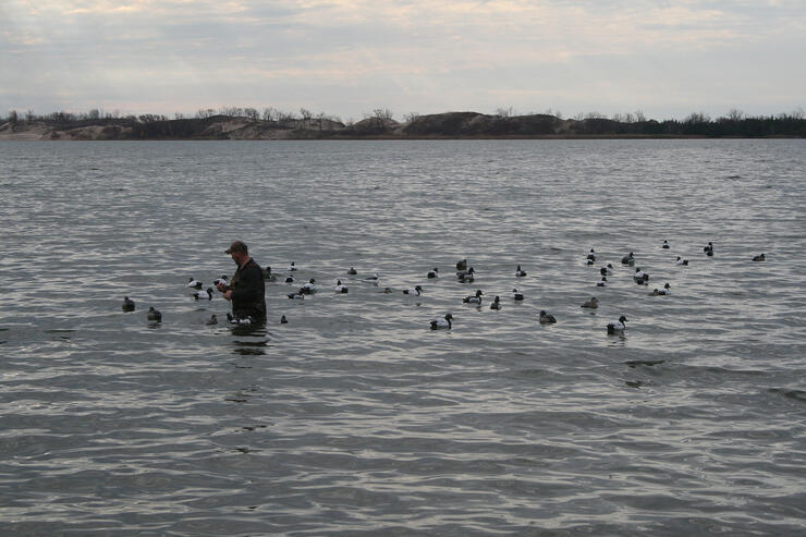 Diver Duck Hunting in Southern Ontario's Prince Edward County