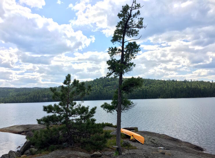 Smooth rock point with pine tree beside a lake.