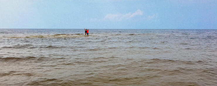 trip to sable island