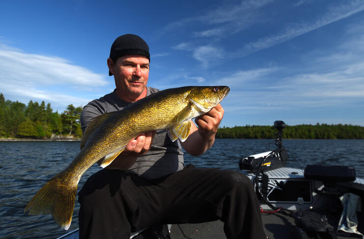 walleye-image