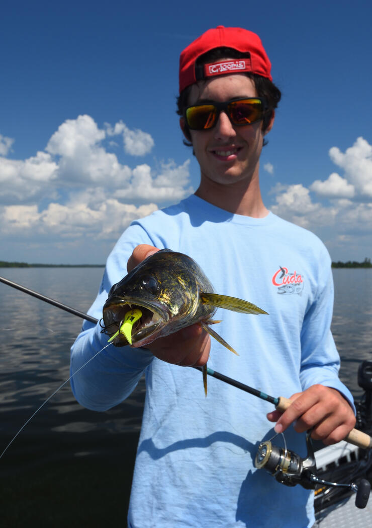 Christmas Walleyes in Summer