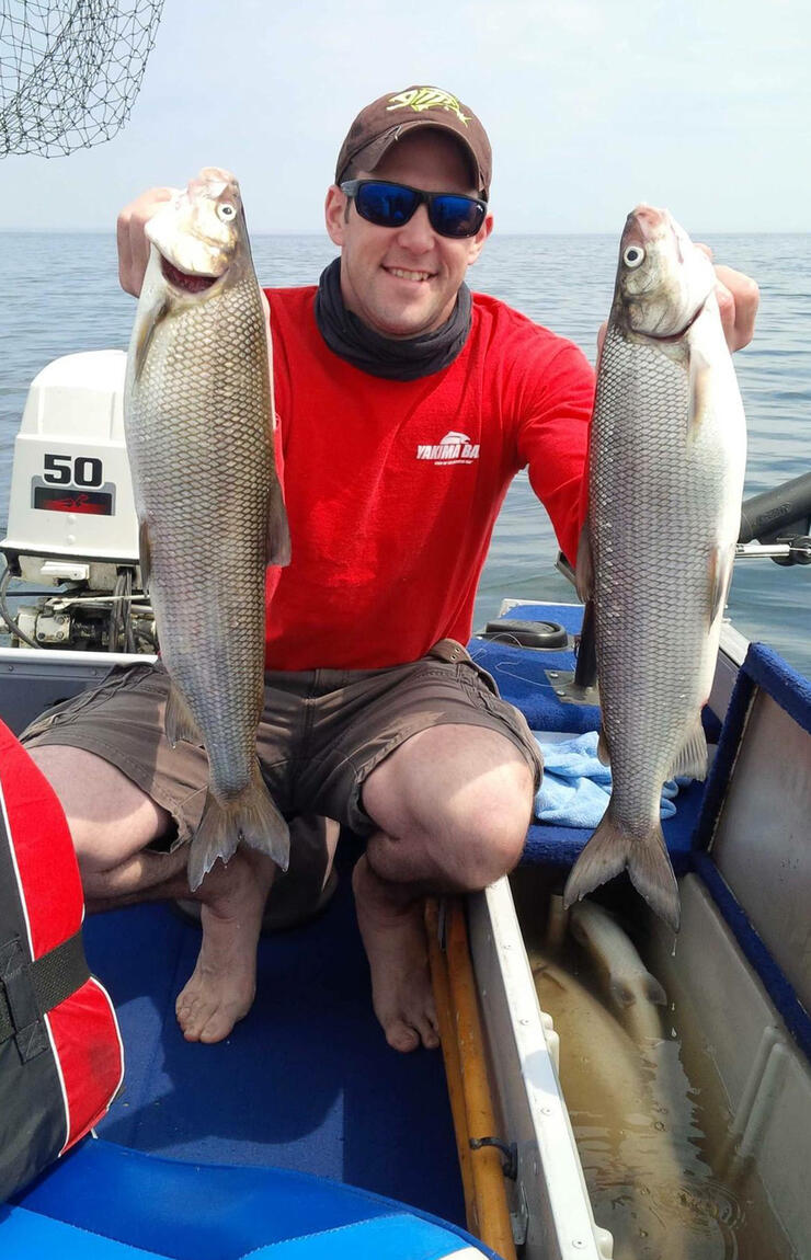 Ontario Summer Whitefish