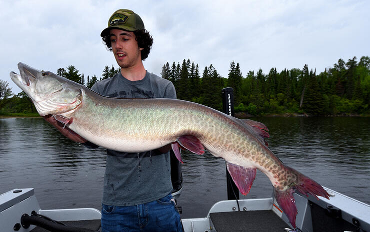 Musky Retrieve: Speed is Key for Netting the Big Beasts