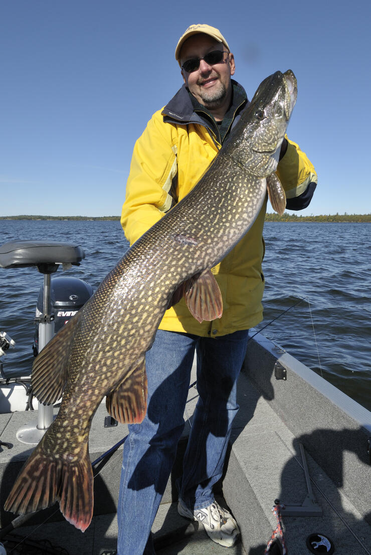 Fishing Long Point Bay Northern Pike (Post Spawn Gators) 