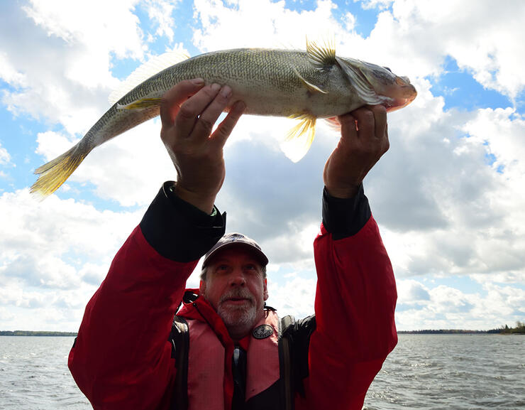 Reel Bait Tackle Walleye Flashers 